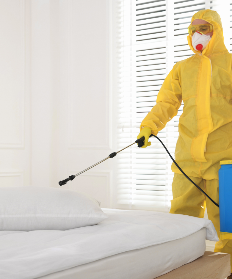 Professional Pest Control Team in Elizabeth Vale